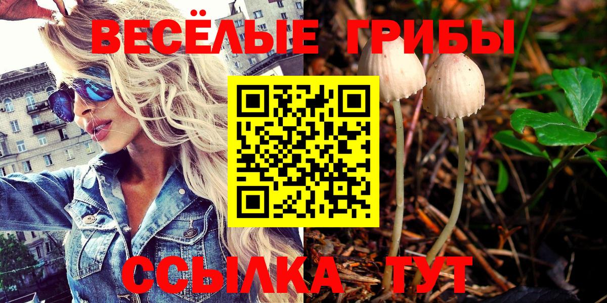 Галлюциногенные грибы MAGIC MUSHROOMS Балашов